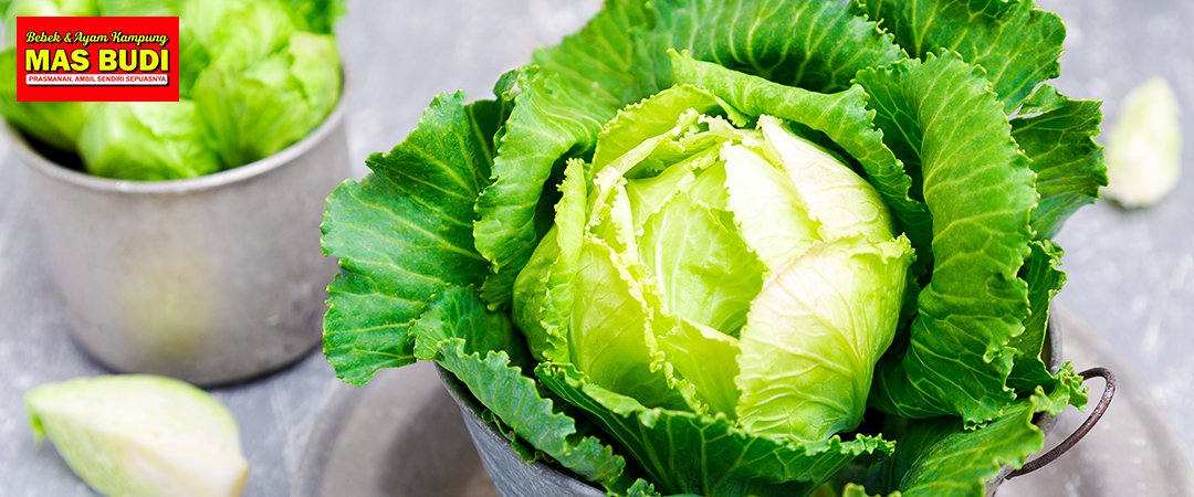 Sayur Kol