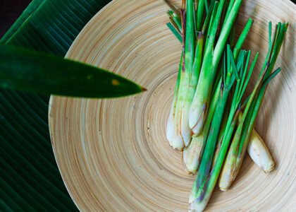 Manfaat Daun Serai