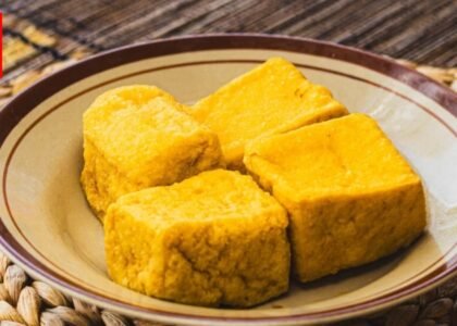 Manfaat Tahu