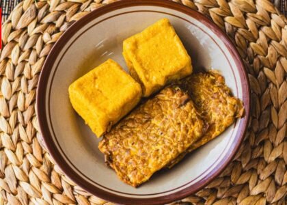 Manfaat Tempe Tahu